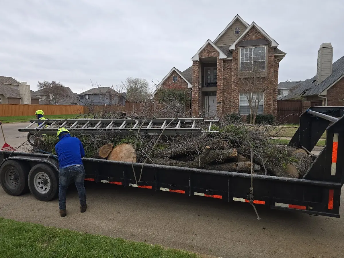Expert Tree Pest Control with proper safety equipment in Sheldahl